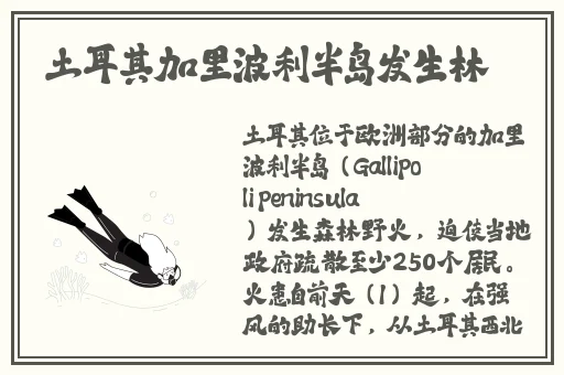 6807杏色水蜜桃